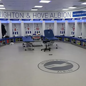 Intense Premier League Showdown: Brighton & Hove Albion vs Manchester City (12th May 2019)