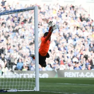 Intense Premier League Showdown: Brighton and Hove Albion vs. Southampton (29OCT17) Intense Premier League Showdown: Brighton and Hove Albion vs. Southampton (29OCT17)