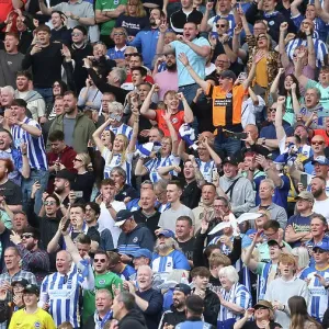 Intense Premier League Showdown: Brighton vs. Southampton (21MAY23) Intense Premier League Showdown: Brighton vs. Southampton (21MAY23)