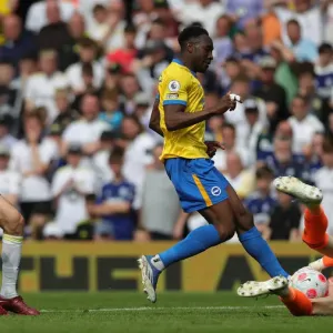 Intense Premier League Showdown: Leeds United vs. Brighton & Hove Albion (15May22) Intense Premier League Showdown: Leeds United vs. Brighton & Hove Albion (15May22)