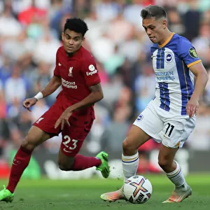 Intense Premier League Showdown: Liverpool vs. Brighton and Hove Albion (1st October 2022)