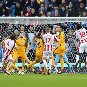 Intense Premier League Showdown: Stoke City vs. Brighton and Hove Albion (10FEB18)