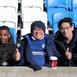 Intense Rivalry: Brighton & Hove Albion vs. Crystal Palace, 29th February 2020 - Premier League Showdown at American Express Community Stadium Intense Rivalry: Brighton & Hove Albion vs. Crystal Palace, 29th February 2020 - Premier League Showdown at American Express Community Stadium