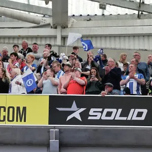 Intense Rivalry: Brighton & Hove Albion vs Southampton (21MAY23) Intense Rivalry: Brighton & Hove Albion vs Southampton (21MAY23)