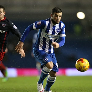 Jake Forster-Caskey in Action: Brighton & Hove Albion vs. Reading, American Express Community Stadium (December 2014)
