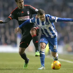 Jake Forster-Caskey in Action: Brighton & Hove Albion vs Fulham, American Express Community Stadium (29 November 2014)