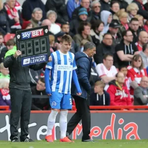 James Tilley Makes Debut: Middlesbrough vs. Brighton and Hove Albion, May 2015