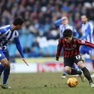 Joao Carlos Teixeira in Action: Championship Showdown between Sheffield Wednesday and Brighton & Hove Albion (14FEB15) Joao Carlos Teixeira in Action: Championship Showdown between Sheffield Wednesday and Brighton & Hove Albion (14FEB15)
