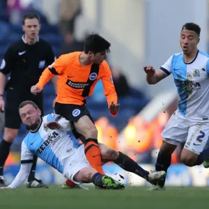 Joao Carlos Teixeira in Action for Brighton against Blackburn Rovers, Sky Bet Championship 2015