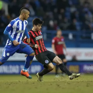 Joao Carlos Teixeira in Action: Brighton Midfielder Battles it Out against Sheffield Wednesday, February 2015 Joao Carlos Teixeira in Action: Brighton Midfielder Battles it Out against Sheffield Wednesday, February 2015