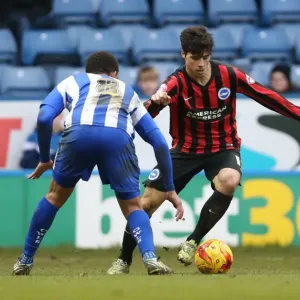 Joao Carlos Teixeira in Action for Brighton against Sheffield Wednesday, February 2015 Joao Carlos Teixeira in Action for Brighton against Sheffield Wednesday, February 2015