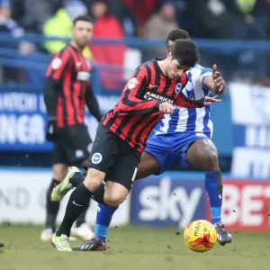 Joao Carlos Teixeira in Action: Sheffield Wednesday vs. Brighton and Hove Albion, 14 February 2015 Joao Carlos Teixeira in Action: Sheffield Wednesday vs. Brighton and Hove Albion, 14 February 2015