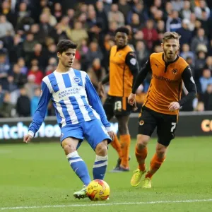 Joao Teixeira in Action: Wolverhampton Wanderers vs. Brighton and Hove Albion, Sky Bet Championship (20DEC14) Joao Teixeira in Action: Wolverhampton Wanderers vs. Brighton and Hove Albion, Sky Bet Championship (20DEC14)