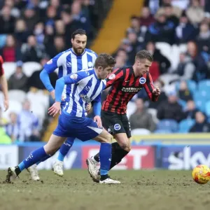 Joe Bennett in Action: Sheffield Wednesday vs. Brighton & Hove Albion, Championship Clash at Hillsborough (14FEB15) Joe Bennett in Action: Sheffield Wednesday vs. Brighton & Hove Albion, Championship Clash at Hillsborough (14FEB15)
