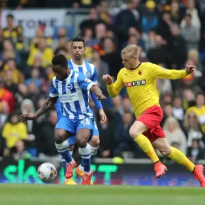 Kazenga LuaLua in Action: Brighton & Hove Albion vs. Watford (25APR15) Kazenga LuaLua in Action: Brighton & Hove Albion vs. Watford (25APR15)