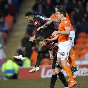 Leon Best in Action: Blackpool vs. Brighton & Hove Albion, Sky Bet Championship (31st January 2015) Leon Best in Action: Blackpool vs. Brighton & Hove Albion, Sky Bet Championship (31st January 2015)