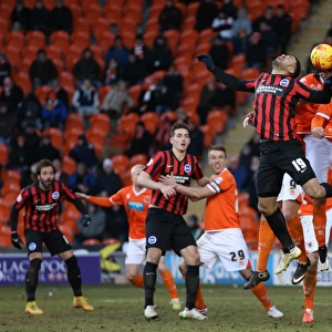 Leon Best in Action: Brighton and Hove Albion vs. Blackpool, Sky Bet Championship (31st January 2015)