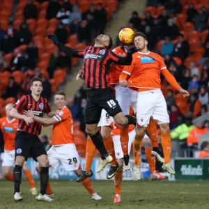 Leon Best in Action: Brighton and Hove Albion vs. Blackpool, Sky Bet Championship (31st January 2015) Leon Best in Action: Brighton and Hove Albion vs. Blackpool, Sky Bet Championship (31st January 2015)