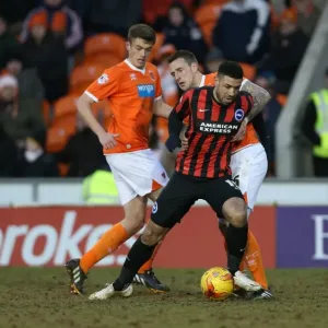 Leon Best in Action: Brighton and Hove Albion vs Blackpool, Sky Bet Championship, Bloomfield Road, 31st January 2015 Leon Best in Action: Brighton and Hove Albion vs Blackpool, Sky Bet Championship, Bloomfield Road, 31st January 2015
