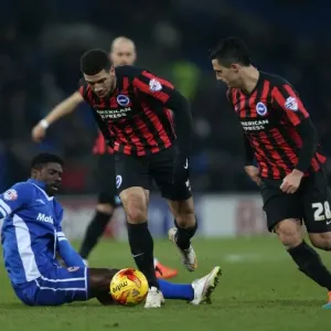 Leon Best in Action: Cardiff City vs. Brighton and Hove Albion, Sky Bet Championship 2015 Leon Best in Action: Cardiff City vs. Brighton and Hove Albion, Sky Bet Championship 2015