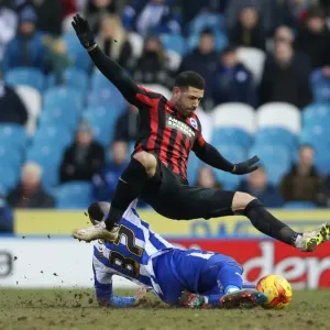Leon Best in Action: Championship Showdown between Sheffield Wednesday and Brighton & Hove Albion (14FEB15) Leon Best in Action: Championship Showdown between Sheffield Wednesday and Brighton & Hove Albion (14FEB15)
