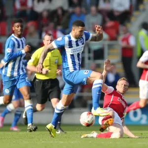 Leon Best Scored for Brighton Against Rotherham United in Championship Match, April 2015