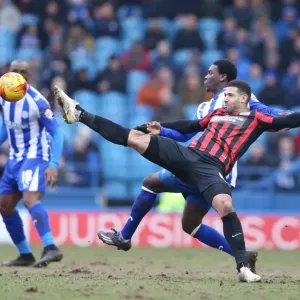 Leon Best Scores for Brighton Against Sheffield Wednesday, 14 February 2015 Leon Best Scores for Brighton Against Sheffield Wednesday, 14 February 2015
