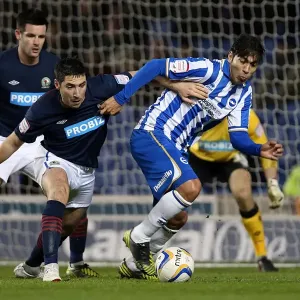 Leonardo Ulloa's Thrilling Performance: Brighton & Hove Albion vs Blackburn Rovers, Npower Championship, Amex Stadium (February 12, 2013) Leonardo Ulloa's Thrilling Performance: Brighton & Hove Albion vs Blackburn Rovers, Npower Championship, Amex Stadium (February 12, 2013)