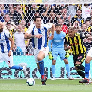 Lewis Dunk in Action: Brighton and Hove Albion vs. Watford, Premier League (11th August 2018)