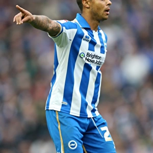 Liam Bridcutt in Action for Brighton & Hove Albion vs Middlesbrough, Npower Championship, Amex Stadium (October 2012)