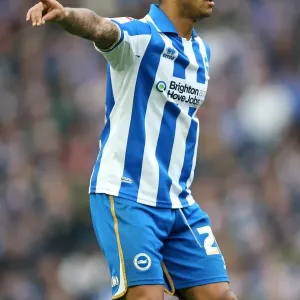 Liam Bridcutt in Action for Brighton & Hove Albion vs Middlesbrough, Npower Championship, Amex Stadium (October 2012) Liam Bridcutt in Action for Brighton & Hove Albion vs Middlesbrough, Npower Championship, Amex Stadium (October 2012)