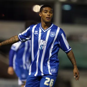 Liam Bridcutt: Brighton and Hove Albion Midfielder in Action Liam Bridcutt: Brighton and Hove Albion Midfielder in Action