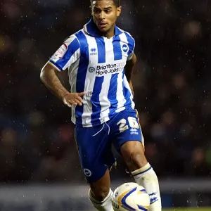Liam Bridcutt: The Focused and Determined Force of Brighton & Hove Albion FC Liam Bridcutt: The Focused and Determined Force of Brighton & Hove Albion FC