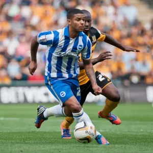 Liam Bridcutt Hull City Brighton HA 120818