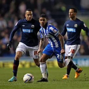 Liam Bridcutt's Intense Performance: Brighton & Hove Albion vs Blackburn Rovers, Npower Championship, Amex Stadium, February 12, 2013 Liam Bridcutt's Intense Performance: Brighton & Hove Albion vs Blackburn Rovers, Npower Championship, Amex Stadium, February 12, 2013