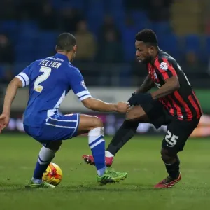 LuaLua in Action: Cardiff City vs. Brighton & Hove Albion, 10th February 2015 LuaLua in Action: Cardiff City vs. Brighton & Hove Albion, 10th February 2015