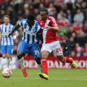 LuaLua in Action: Middlesbrough vs. Brighton & Hove Albion, May 2015