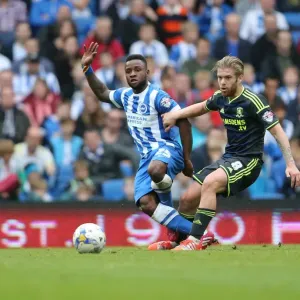 LuaLua's Cross: A Moment from Brighton v Middlesbrough (18 October 2014) LuaLua's Cross: A Moment from Brighton v Middlesbrough (18 October 2014)