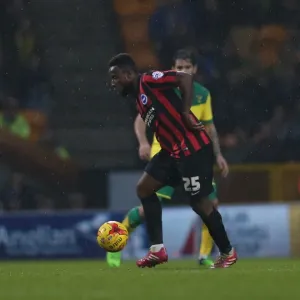 LuaLua's Determined Performance: Norwich City vs. Brighton & Hove Albion (22NOV14) LuaLua's Determined Performance: Norwich City vs. Brighton & Hove Albion (22NOV14)