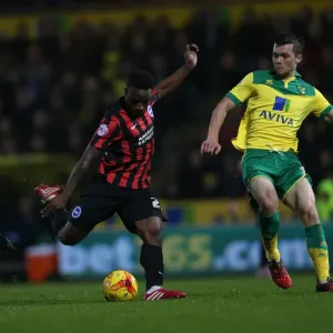 LuaLua's Shot: Norwich City vs. Brighton & Hove Albion, Carrow Road (2014) LuaLua's Shot: Norwich City vs. Brighton & Hove Albion, Carrow Road (2014)