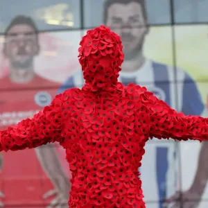 Man in Poppy Onesie: Brighton and Hove Albion vs. Milton Keynes Dons, Sky Bet Championship 2015 Man in Poppy Onesie: Brighton and Hove Albion vs. Milton Keynes Dons, Sky Bet Championship 2015