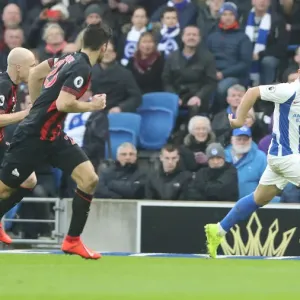 March 2019: Premier League Showdown between Brighton & Hove Albion and Huddersfield Town at American Express Community Stadium March 2019: Premier League Showdown between Brighton & Hove Albion and Huddersfield Town at American Express Community Stadium