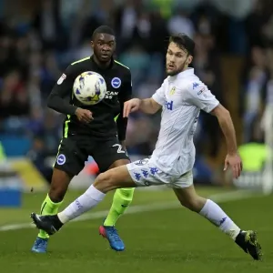 March Clash: Leeds United vs. Brighton and Hove Albion in EFL Sky Bet Championship (18MAR17) March Clash: Leeds United vs. Brighton and Hove Albion in EFL Sky Bet Championship (18MAR17)