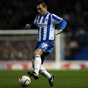 Marcos Painter of Brighton & Hove Albion in Action Against Bolton Wanderers, November 24, 2012
