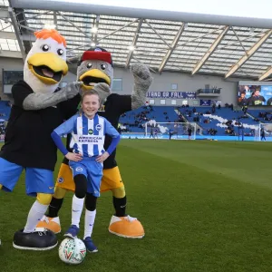 Mascots - Swansea-6006