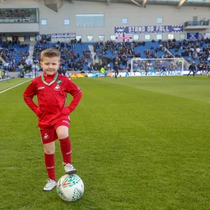 Mascots - Swansea-6127