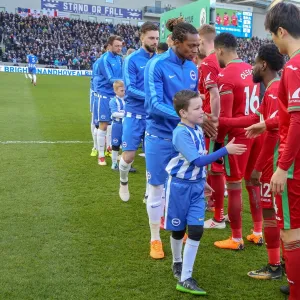 Mascots - Swansea-6187