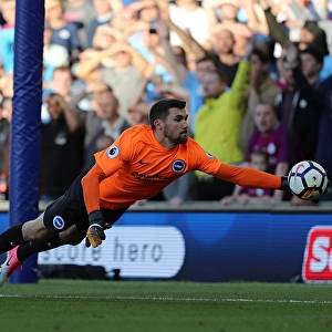 Mathew Ryan in Action: Brighton & Hove Albion vs Manchester City, August 12, 2017