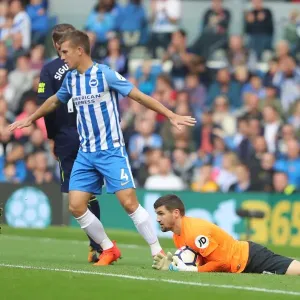 Mathew Ryan in Action: Brighton & Hove Albion vs. Everton (Premier League, October 2017) Mathew Ryan in Action: Brighton & Hove Albion vs. Everton (Premier League, October 2017)