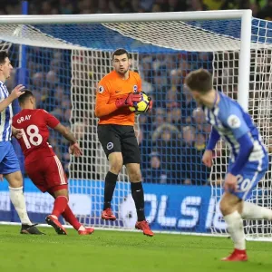 Mathew Ryan in Action: Brighton & Hove Albion vs. Watford, Premier League (23rd December 2017) Mathew Ryan in Action: Brighton & Hove Albion vs. Watford, Premier League (23rd December 2017)
